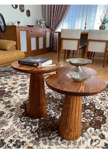 Dekoratif Ahşap Mantar Sehpa 3’lü Set – Masif Doğal Açık Ceviz Fiskos ve Zigon fiyatları