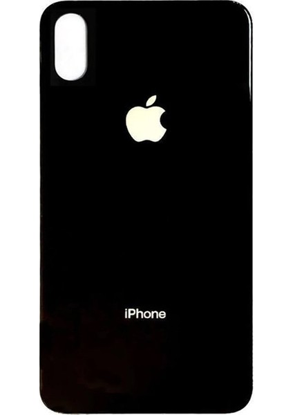 Uyumlu Iphone x Arka Kapak Lazer Kesim ( Pil Kapağı ) Cam - - Siyah