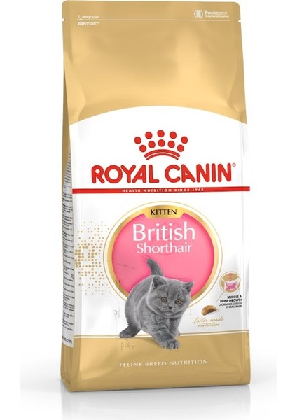 British Shorthair Açık Yetişkin 1 kg Kedi Maması