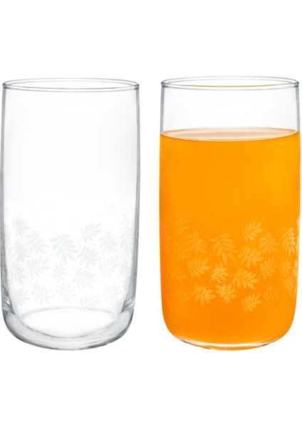 STD White Leaves Musette 4 Lü Meşrubat Bardağı Seti - 365 ml Klas fiyatları