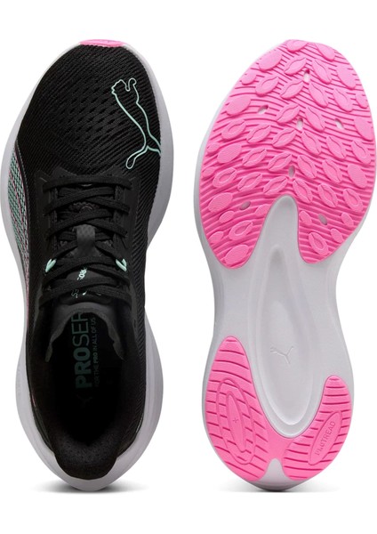 Darter Pro modelleri