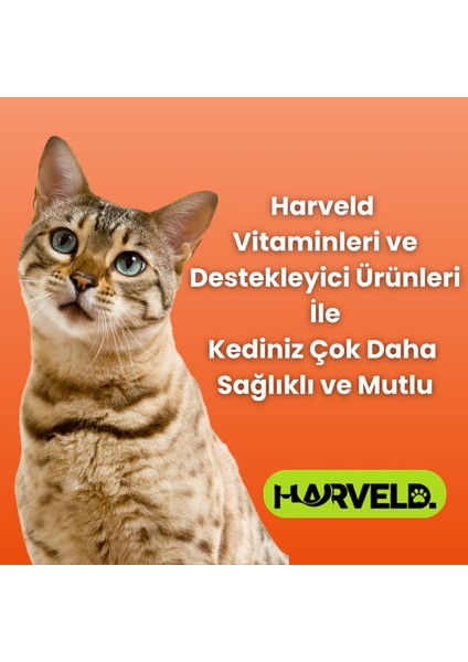 Yavru Kedi Gelişim Için 2'liKedi Bakım Seti Kitten Paste - Immune C indirimleri