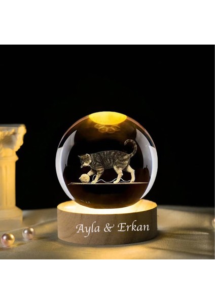 Isme Özel Işıklı Ahşap Kaideli Sevimli Kedi Cam Küre 8 cm *6 cm indirimleri