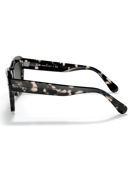 Rayban 2186 133371 52 Kadın Güneş Gözlüğü fiyatları