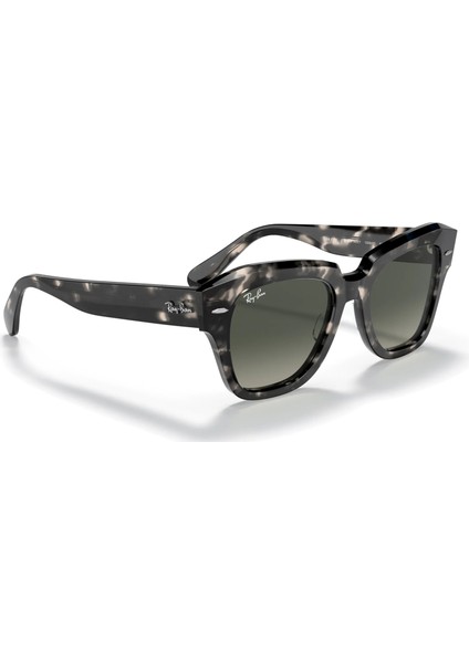 Rayban 2186 133371 52 Kadın Güneş Gözlüğü fırsatları