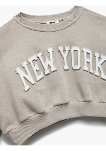 Uzun Kollu Bisiklet Yaka Şardonlu Baskılı Crop Sweatshirt modelleri