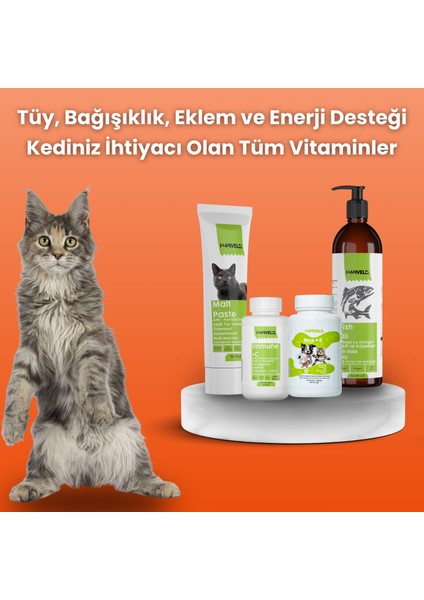 Kediniz Için Premium Sağlık Seti 4'lü Kedi Bakım Seti Malt Paste - Fish Oil - Immune C - Move G
