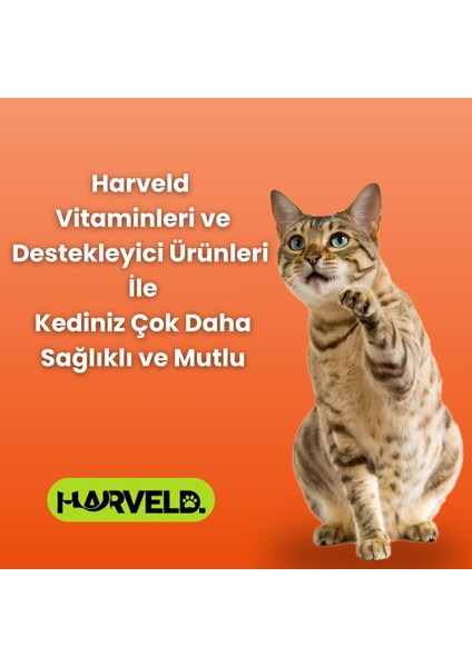 Kediniz Için Premium Sağlık Seti 4'lü Kedi Bakım Seti Malt Paste - Fish Oil - Immune C - Move G