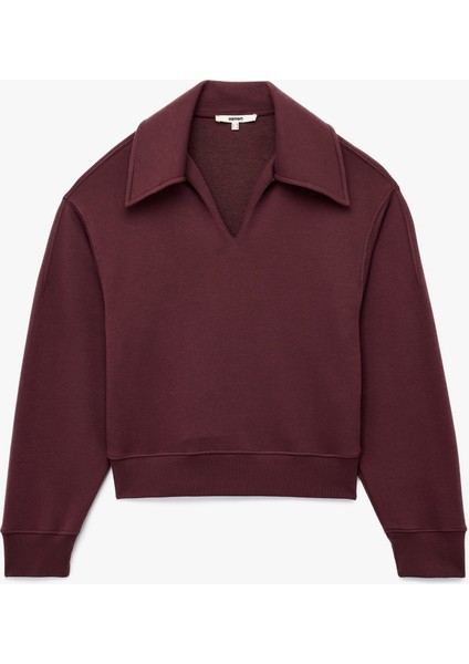 Regular Fit Üç Iplik Uzun Kollu Polo Yaka Sweatshirt