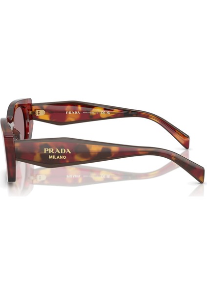 SPRB05 22A20I 53 Kadın Güneş Gözlüğü fiyatları