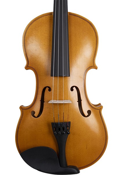 VLN-100M 4/4 Mat Cila Keman modelleri