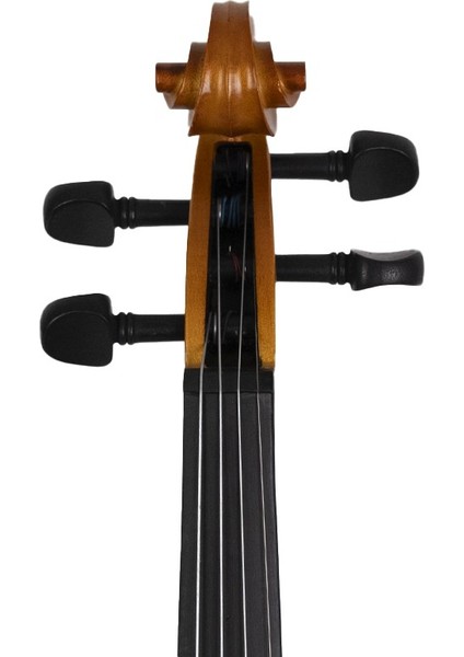 VLN-100M 4/4 Mat Cila Keman