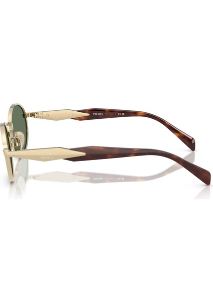 65ZS ZVN70L 55 Kadın Güneş Gözlüğü fiyatları