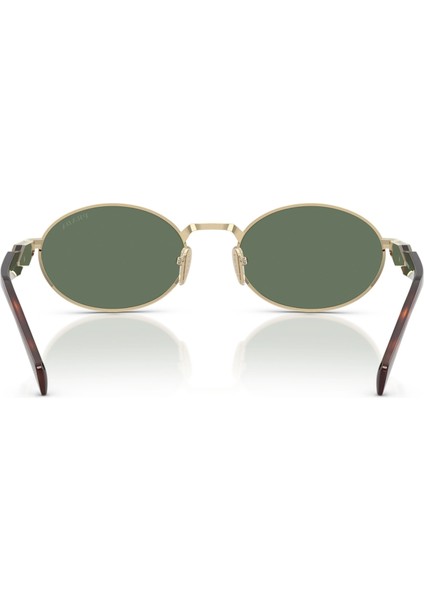 65ZS ZVN70L 55 Kadın Güneş Gözlüğü modelleri