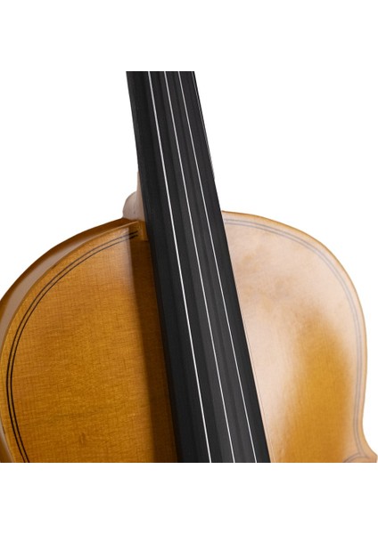 VLN-100M 1/4 Mat Cila Keman (6-8 Yaş) fırsatları