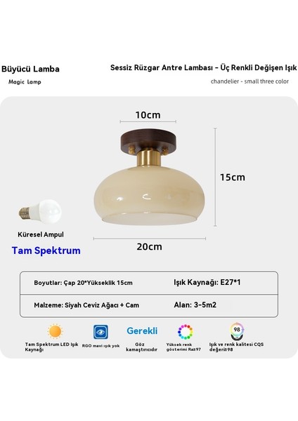 Gizli Sıcak Işıklı Antika Tavan Avizesi (Yurt Dışından)