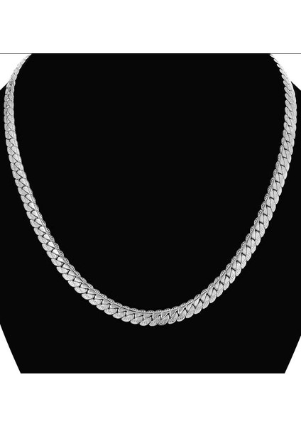 Ezme Hasır Yassı Yılan Model Çelik Erkek Kolye ECK36