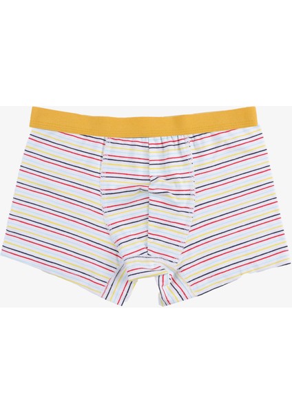 Erkek Çocuk Pamuklu Uzay Baskılı 3'lü Boxer fiyatları