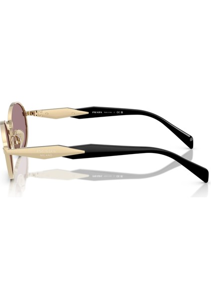 65ZS ZVN20I 55 Kadın Güneş Gözlüğü fiyatları