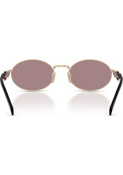 65ZS ZVN20I 55 Kadın Güneş Gözlüğü modelleri