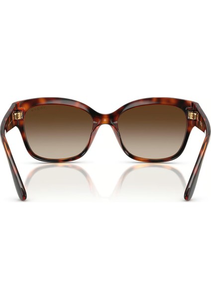 Vo 5638SU W65613 55 Vogue Kadın Güneş Gözlüğü