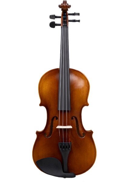 VLN-100G 4/4 Parlak Cila Keman