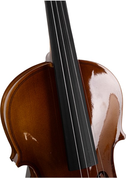 VLN-100G 4/4 Parlak Cila Keman modelleri