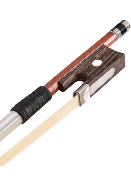 VLN-100G 3/4 Parlak Cila Keman (10-12 Yaş)