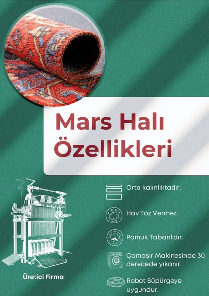 Mars Kırmızı Siyah Etnik Desenli Vintage Şönil Dekoratif Yıkanabilir Salon Halısı 270 modelleri