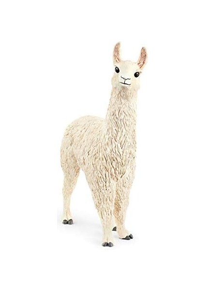 Lama fiyatları