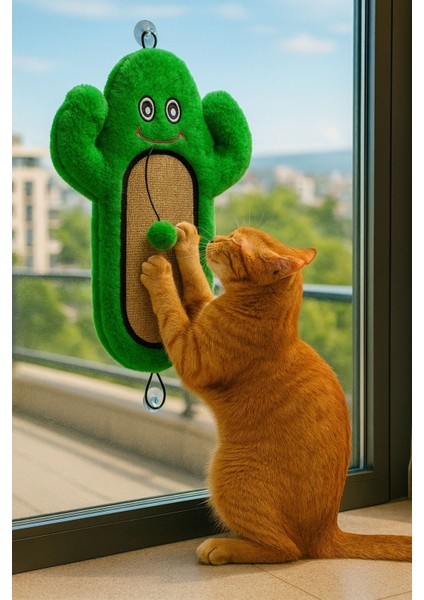Kedi Tırmalama Matı Peluş Kaktüs Oyuncak Jüt Yüzey, Hışırtılı, Ponponlu ve Sabitlenebilir fiyatları