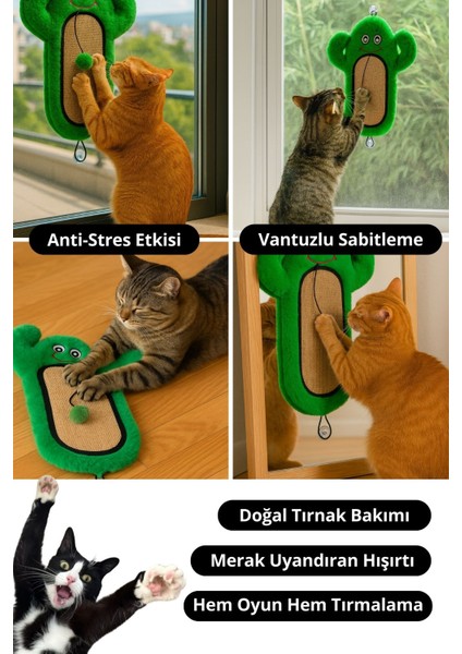 Kedi Tırmalama Matı Peluş Kaktüs Oyuncak Jüt Yüzey, Hışırtılı, Ponponlu ve Sabitlenebilir indirimleri