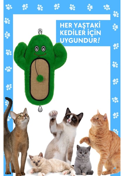 Kedi Tırmalama Matı Peluş Kaktüs Oyuncak Jüt Yüzey, Hışırtılı, Ponponlu ve Sabitlenebilir
