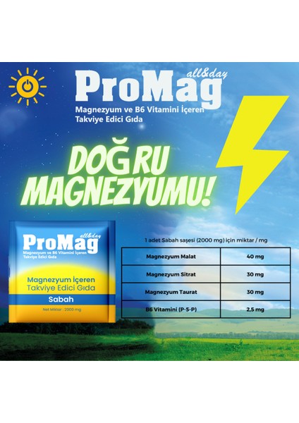 Promag All&Day Magnezyum ve B6 İçeren T.E.G modelleri
