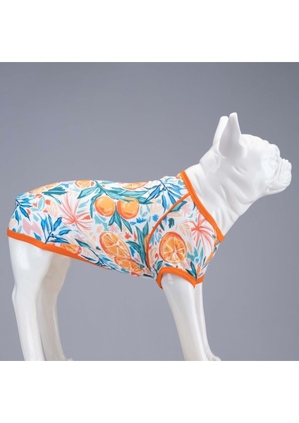 Orange Blossom Küçük, Orta ve Büyük Irk Köpek Tshirt Beden 0 modelleri