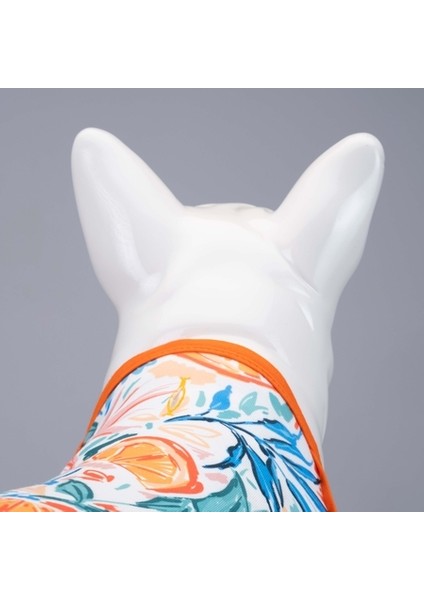 Orange Blossom Küçük, Orta ve Büyük Irk Köpek Tshirt Beden 0 fırsatları