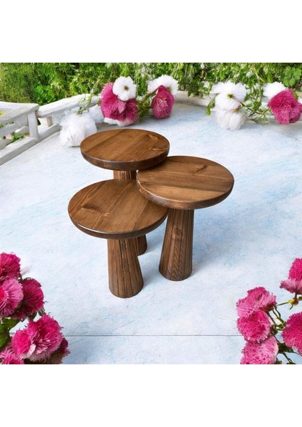 Dekoratif Ahşap Mantar Sehpa 3’lü Set – Masif Doğal Ceviz Renk Fiskos ve Zigon fırsatları