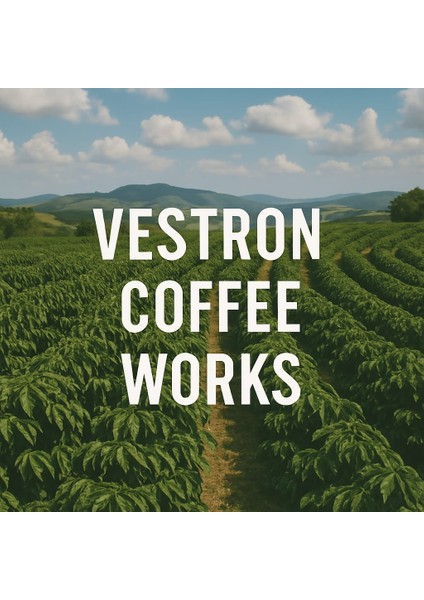 %100 Robusta India Cherry AA Espresso|Single Origin Filtre Kahve|Orta Kavrum|250g