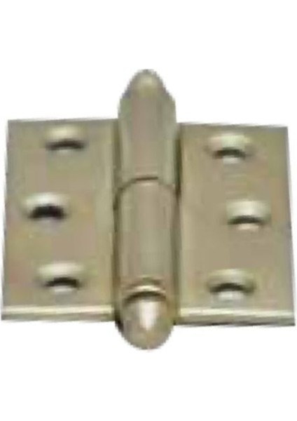 Okka Menteşe Nikel (Sağ-Sol)