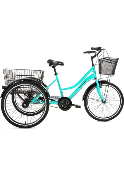 Porter Hizmet Bisikleti 44 cm V - Roller Fren 3 Vites 24 Jant Turkuaz Siyah