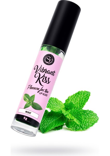 Secret Play Dudak Parlatıcı Nane Aromalı, 6 gr