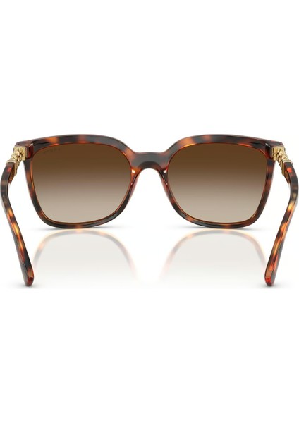 VO5633SB W65613 56 Kadın Güneş Gözlüğü modelleri