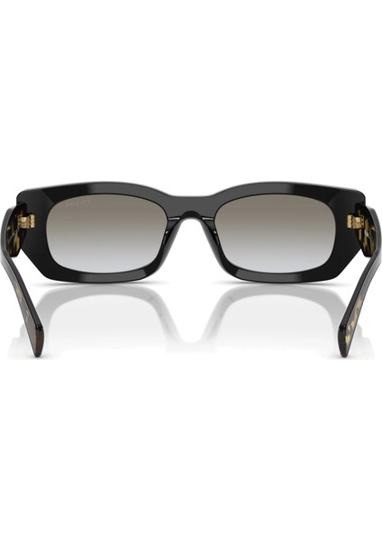 B05S-53 3890A7 Kadın Güneş Gözlüğü modelleri