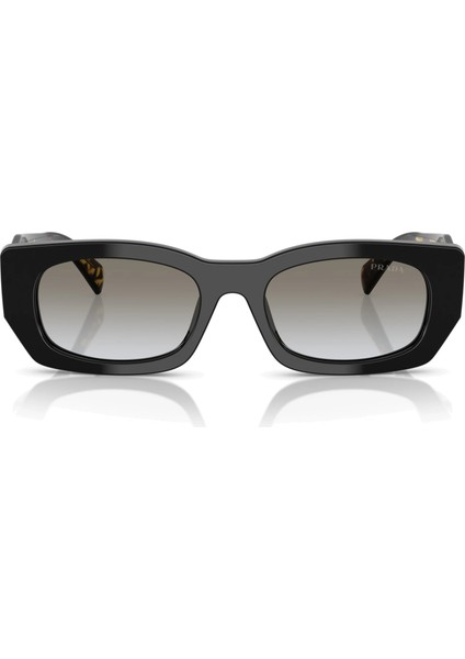 B05S-53 3890A7 Kadın Güneş Gözlüğü fırsatları