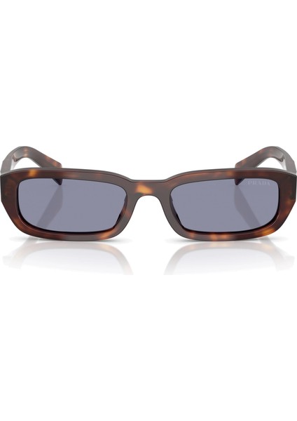 B06S 15W03N 53-19 Kadın Güneş Gözlüğü fırsatları