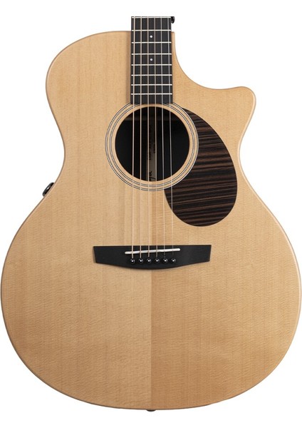 Ega-X1 Pro Max SP1S Elektro Akustik Gitar modelleri