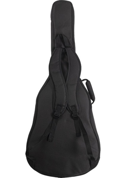 Ega-X1 Pro Max SP1S Elektro Akustik Gitar