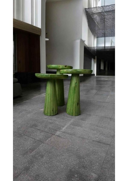 Dekoratif Ahşap Mantar Sehpa 3’lü Set – Masif Doğal Çimen Yeşili Fiskos ve Zigon