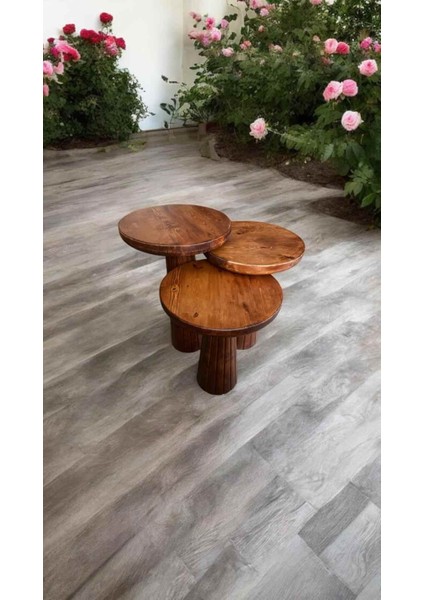 Dekoratif Ahşap Mantar Sehpa 3’lü Set – Masif Doğal Fındık Renk Fiskos ve Zigon modelleri