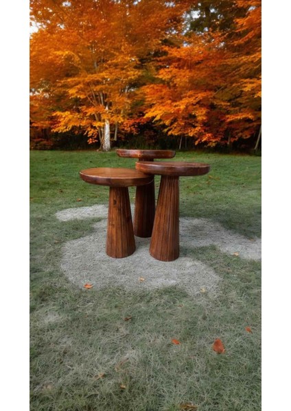 Dekoratif Ahşap Mantar Sehpa 3’lü Set – Masif Doğal Fındık Renk Fiskos ve Zigon fırsatları